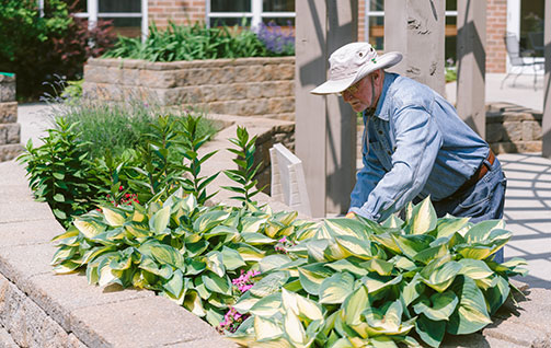 A worker tending to the garden. Links to Beneficiary Designations designations.jpg