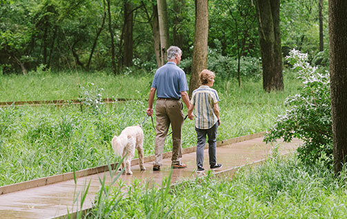 A couple walking their dog. Link to Life Stage Gift Planner Under Age 60 Situations. lsgp_60.jpg